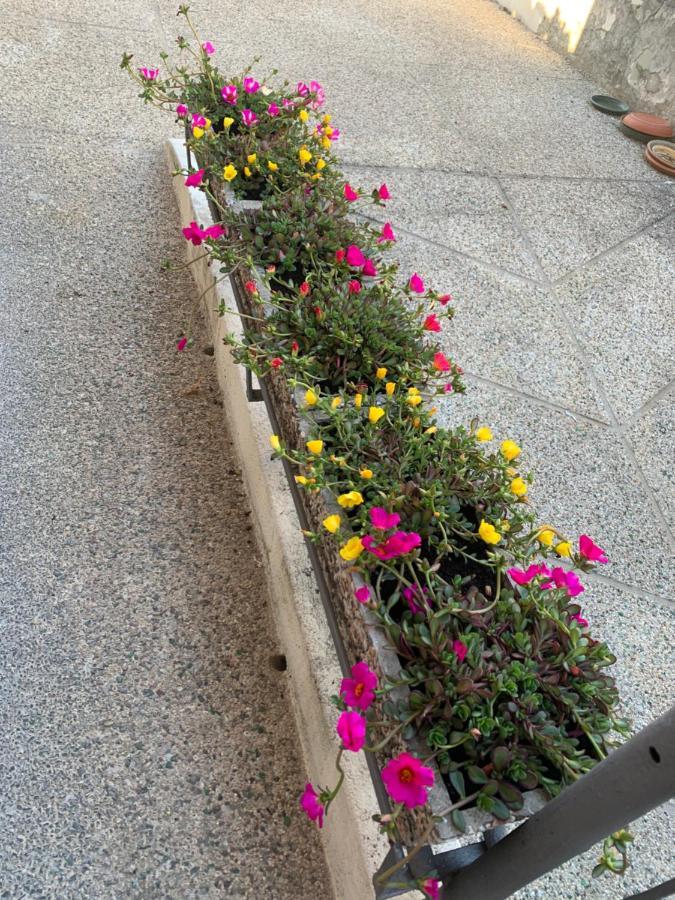 New Verona Business And Fun G B Rossi Friendly ภายนอก รูปภาพ